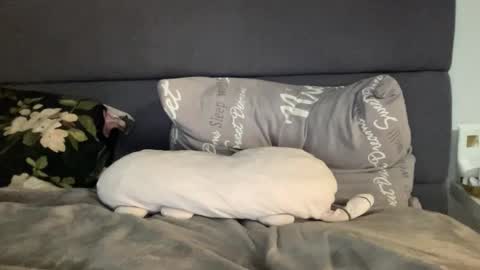 Vicky online show from 19, 9, 2025