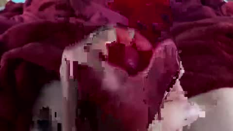 cheeseisnts online show from 9, 1, 2026