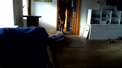 Snapshot of chefben666 chatting on 14, 2, 2026 chefben666 online show from 14, 2, 2026