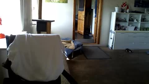 Snapshot of chefben666 chatting on 11, 4, 2026 chefben666 online show from 11, 4, 2026