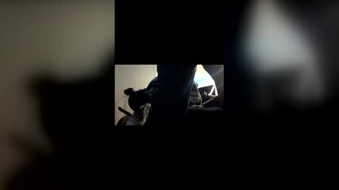 chenovich online show from 30, 3, 2026