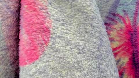 Mia online show from 6, 10, 2025