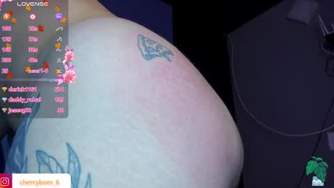 Snapshot of cherrybom_ chatting on 2, 1, 2025 dayis independent model online show from 2, 1, 2025