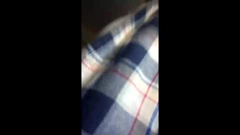 chi579822 online show from 14, 3, 2026