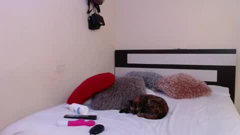  Valentina  online show from 4, 1, 2025