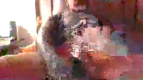 chikoink43 online show from 31, 12, 2024