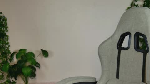 Bella online show from 3, 4, 2026