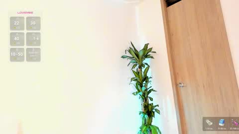    Schedule 7am to 2pm Col online show from 11, 2, 2026