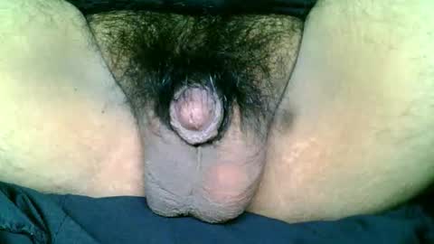 chinny_fuckdoll online show from 24, 11, 2025