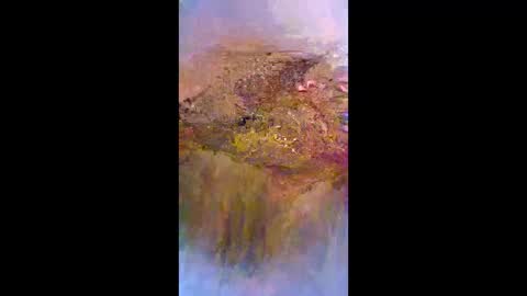 chippy1985 online show from 24, 3, 2026