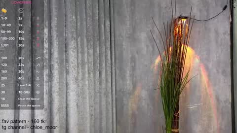 Snapshot of chloe_moor chatting on 10, 12, 2024 Chloe online show from 10, 12, 2024