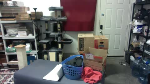 Snapshot of chrisryan00 chatting on 4, 12, 2024 Chris online show from 4, 12, 2024