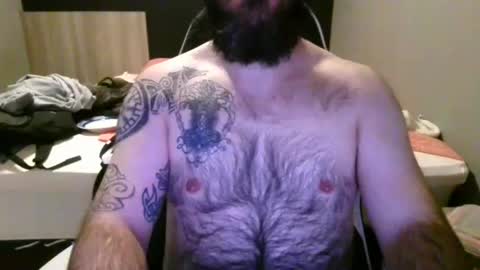 chub bear 99 online show from 14, 6, 2026