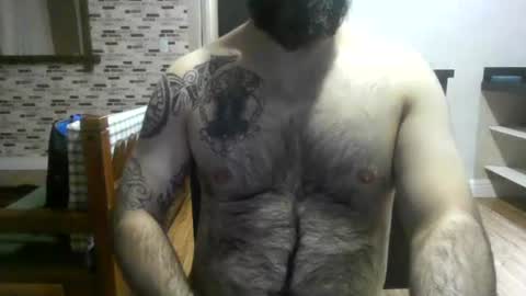 chub bear 99 online show from 7, 8, 2026