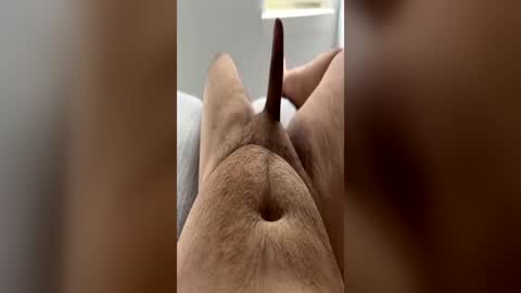 chubbydick9069 online show from 15, 6, 2026
