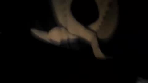 chuck7891 online show from 30, 11, 2025