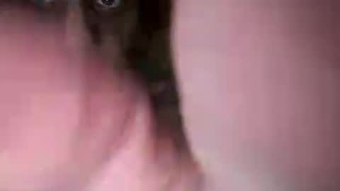 chuckied6969 online show from 22, 7, 2026