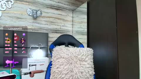 ...   ... online show from 26, 1, 2025