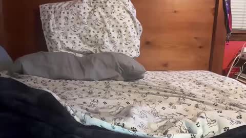 cjallday1424 online show from 3, 3, 2025