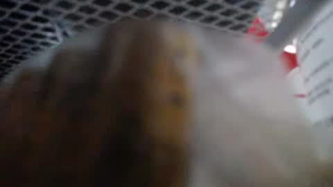 487699 online show from 14, 1, 2026