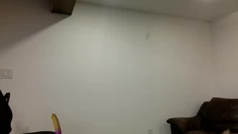 Snapshot of clarkecock chatting on 21, 3, 2026 Clarke Cock online show from 21, 3, 2026