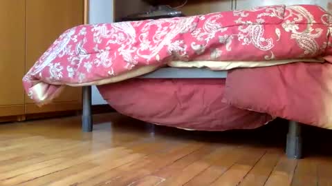 claudi779 online show from 29, 12, 2024