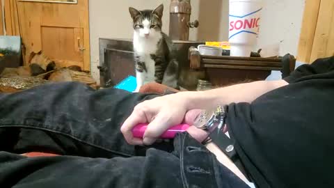 Clay online show from 18, 12, 2024