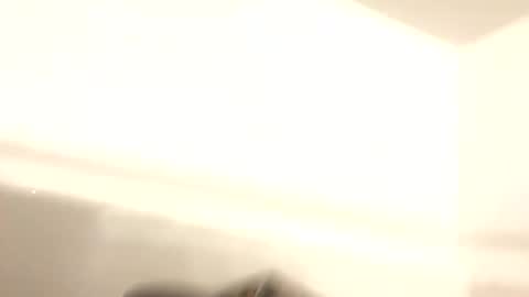 co23456 online show from 29, 3, 2026