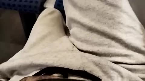 Cocolino  online show from 17, 10, 2025