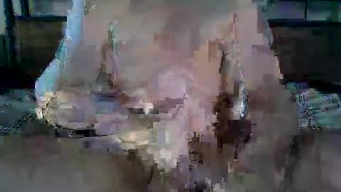 Ethan Slade online show from 19, 4, 2026