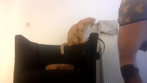 cockholder420 online show from 23, 11, 2025