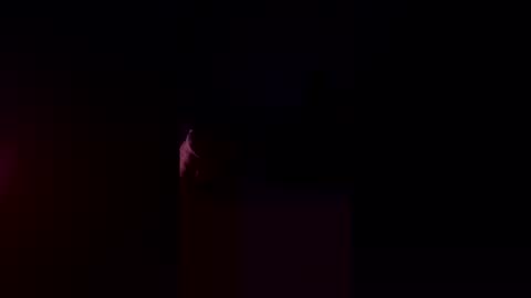 cockstroker37182837 online show from 5, 4, 2026