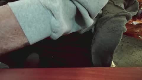 cody81421 online show from 15, 1, 2025