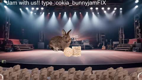 Snapshot of cokia_ chatting on 5, 12, 2024 Cokia online show from 5, 12, 2024