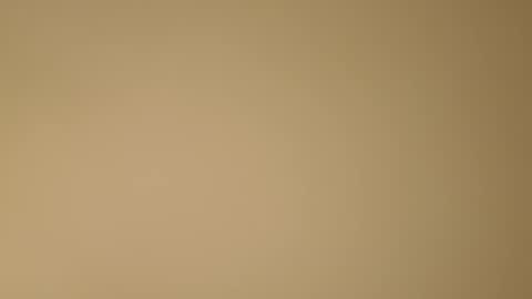 color233 online show from 8, 11, 2025