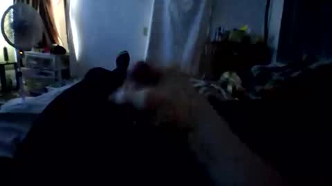 connlee10929154 online show from 16, 1, 2026