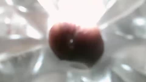 Snapshot of constructorcock chatting on 7, 12, 2024 bearded hairy pits big brown cock online show from 7, 12, 2024