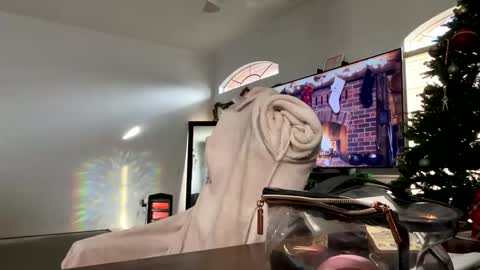 Snapshot of controllercutie chatting on 17, 12, 2025 controllercutie online show from 17, 12, 2025