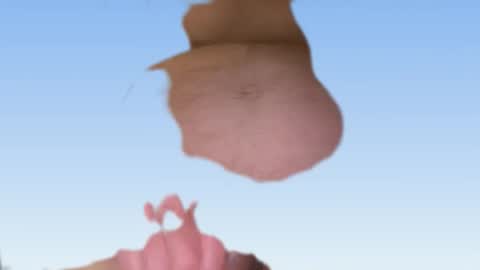 whatever you want it to be online show from 24, 2, 2026