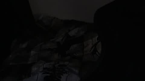 cooley77701 online show from 24, 2, 2026