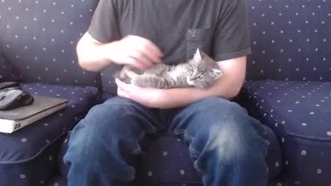 copper_crotch online show from 3, 12, 2025