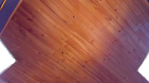 Coraline online show from 24, 1, 2025