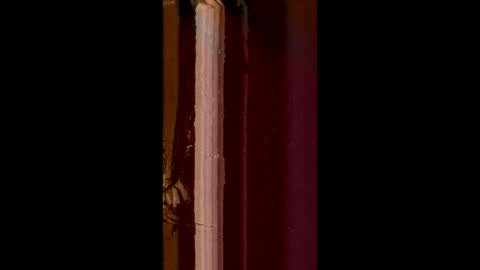 Corrado online show from 8, 2, 2025