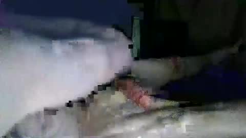 Snapshot of corynashx chatting on 31, 1, 2025 lazarus online show from 31, 1, 2025