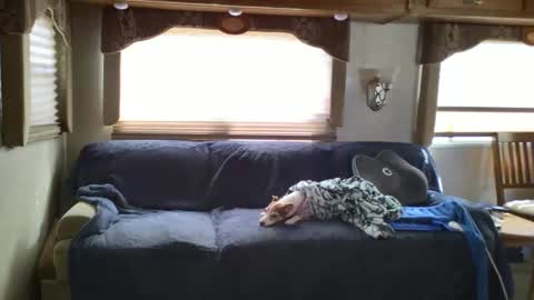 Chester  Melissa online show from 24, 2, 2025