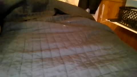 your local abrasive ALT couple online show from 19, 3, 2026