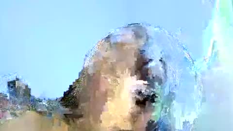 Liz Gwyneth Charlota online show from 17, 1, 2025