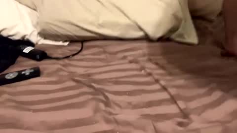 Snapshot of countrystudd chatting on 11, 12, 2024 Countrystudd online show from 11, 12, 2024