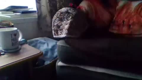 Snapshot of courieral1 chatting on 15, 2, 2025 courieral1 online show from 15, 2, 2025