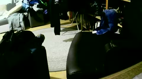 coyote017 online show from 27, 1, 2025